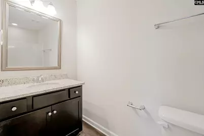 247 Honey Hill Way, Blythewood, SC 29016 - Photo 28