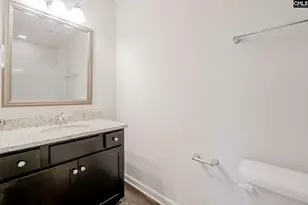 247 Honey Hill Way, Blythewood, SC 29016 - Photo 28