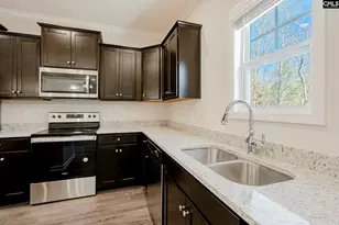 247 Honey Hill Way, Blythewood, SC 29016 - Photo 10