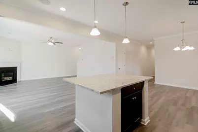 247 Honey Hill Way, Blythewood, SC 29016 - Photo 12