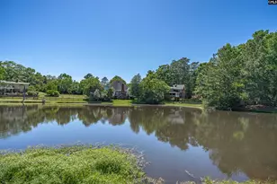 115 Natalie Ln, Lexington, SC 29072 - Photo 52