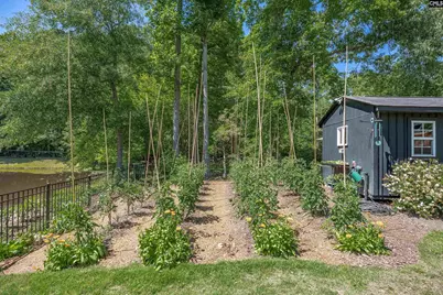 115 Natalie Lane, Lexington, SC 29072 - Photo 48