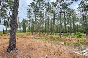 0 Neely Wingard Rd Lot 2, Gilbert, SC 29054 - Photo 1