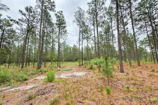 0 Neely Wingard Rd Lot 3, Gilbert, SC 29054 - Photo 1