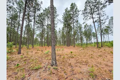 0 Neely Wingard Road Lot 3 #Lot 3, Gilbert, SC 29054 - Photo 4