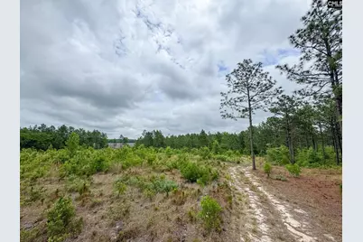 0 Neely Wingard Road Lot 5 #Lot 5, Gilbert, SC 29054 - Photo 10
