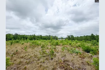 0 Neely Wingard Road Lot 5 #Lot 5, Gilbert, SC 29054 - Photo 8