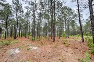 0 Neely Wingard Rd Lot 6, Gilbert, SC 29054 - Photo 1