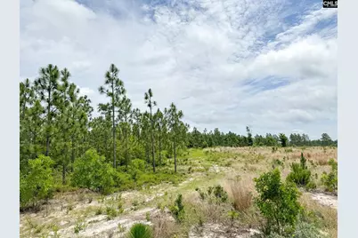 0 Neely Wingard Road Lot 8 #Lot 8, Gilbert, SC 29054 - Photo 1