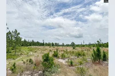 0 Neely Wingard Road Lot 8 #Lot 8, Gilbert, SC 29054 - Photo 4