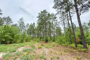 0 Neely Wingard Rd Lot 9, Gilbert, SC 29054 - Photo 1
