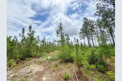 0 Neely Wingard Road Lot 9 #Lot 9, Gilbert, SC 29054 - Photo 4