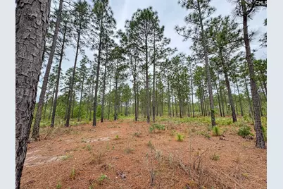 0 Neely Wingard Road Lot 10 #Lot 10, Gilbert, SC 29054 - Photo 1