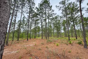 0 Neely Wingard Rd Lot 10, Gilbert, SC 29054 - Photo 1