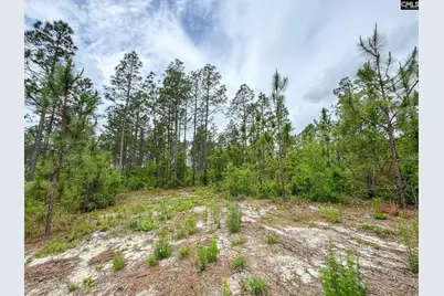 0 Neely Wingard Road Lot 10 #Lot 10, Gilbert, SC 29054 - Photo 4