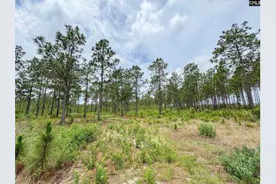 0 Neely Wingard Road Lot 11 #Lot 11, Gilbert, SC 29054 - Photo 1