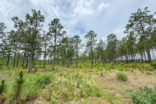 0 Neely Wingard Rd Lot 11, Gilbert, SC 29054 - Photo 1