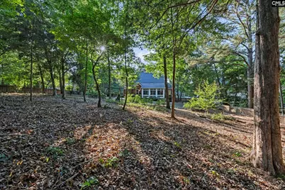 214 Rolling Creek Circle, Irmo, SC 29063 - Photo 66