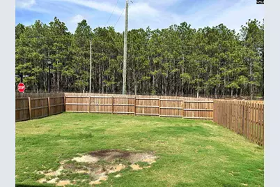 1903 Burning Cider Avenue, Gilbert, SC 29054 - Photo 40