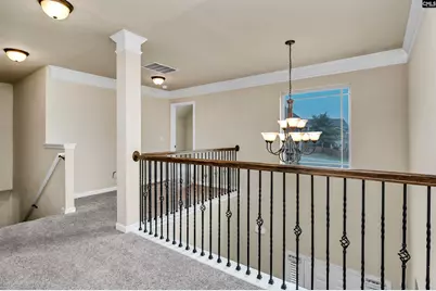 218 Vista View Court, West Columbia, SC 29172 - Photo 34