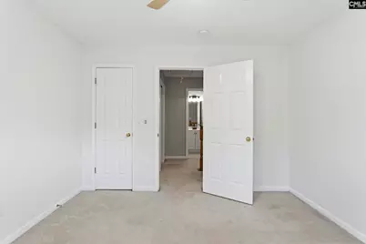 321 Delaine Woods Drive, Irmo, SC 29063 - Photo 38