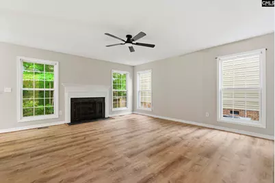321 Delaine Woods Drive, Irmo, SC 29063 - Photo 14