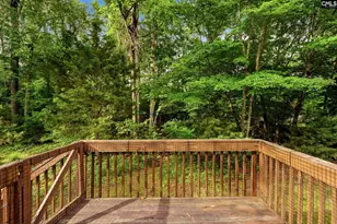 321 Delaine Woods Dr, Irmo, SC 29063 - Photo 50
