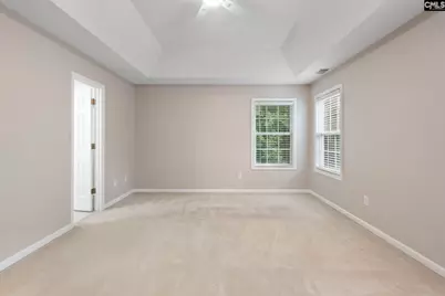 321 Delaine Woods Drive, Irmo, SC 29063 - Photo 44