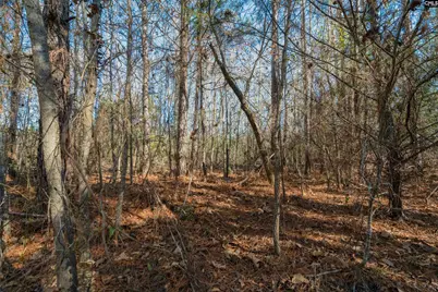 00 S Hwy 81 3 #3, Calhoun Falls, SC 29628 - Photo 20
