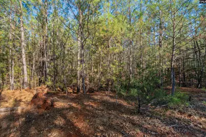 00 S Hwy 81 3 #3, Calhoun Falls, SC 29628 - Photo 22