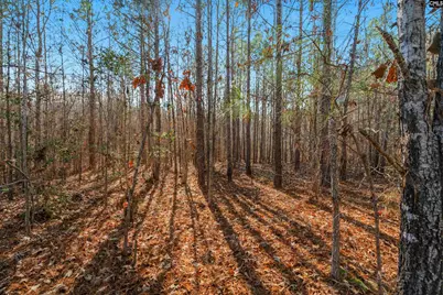 00 S Hwy 81 3 #3, Calhoun Falls, SC 29628 - Photo 24