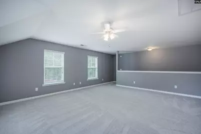 145 Stonemont Drive, Irmo, SC 29063 - Photo 72