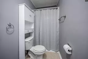 145 Stonemont Dr, Irmo, SC 29063 - Photo 86