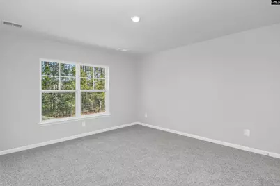 227 Boseman Road, Irmo, SC 29063 - Photo 36