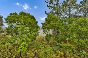212 Indigo Springs Dr, Columbia, SC 29229 - Photo 28