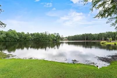 467 N High Duck Trail, Blythewood, SC 29016 - Photo 34