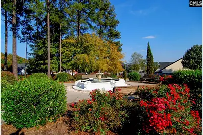 1033 Ivy Green Circle, Irmo, SC 29063 - Photo 42