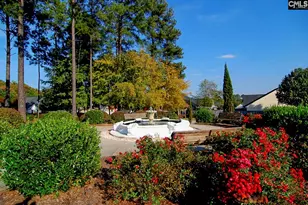 1033 Ivy Green Cir, Irmo, SC 29063 - Photo 42