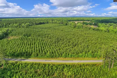 0000 N Brewington Road 10 #10, Manning, SC 29102 - Photo 4