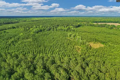 0000 N Brewington Road 10 #10, Manning, SC 29102 - Photo 24