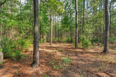 0000 N Brewington Road 10 #10, Manning, SC 29102 - Photo 8