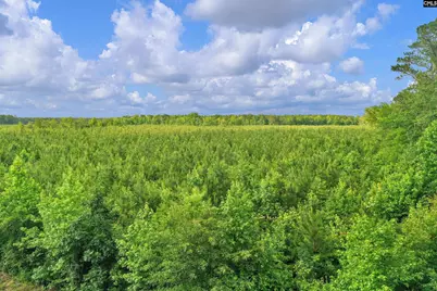0000 N Brewington Road 10 #10, Manning, SC 29102 - Photo 22