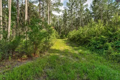0000 N Brewington Road 10 #10, Manning, SC 29102 - Photo 16