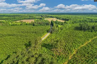 0000 N Brewington Road 10, Manning, SC 29102 - Photo 1