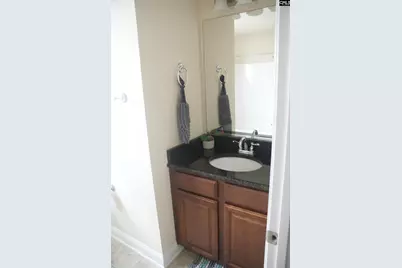 211 Bronze Drive, Lexington, SC 29072 - Photo 30