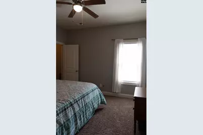 211 Bronze Drive, Lexington, SC 29072 - Photo 34