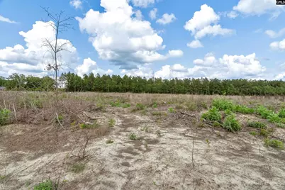 0000 N Brewington Road 2 #2, Manning, SC 29102 - Photo 48