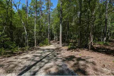 Fulmer Road, Blythewood, SC 29016 - Photo 4