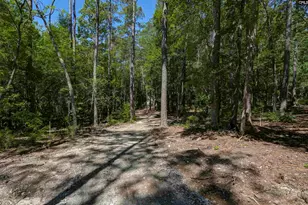 Fulmer Rd, Blythewood, SC 29016 - Photo 4