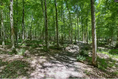 Fulmer Road, Blythewood, SC 29016 - Photo 2